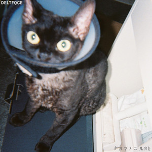 撕开奶罩揉吮奶头玩
