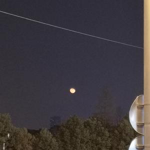 撕开奶罩揉吮奶头玩
